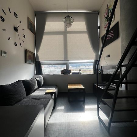 1 Bedroom Loft Apartment Zlín Buitenkant foto