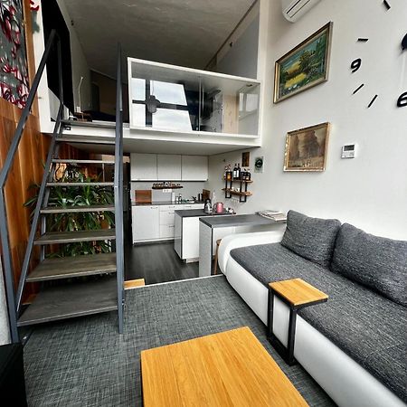 1 Bedroom Loft Apartment Zlín Buitenkant foto